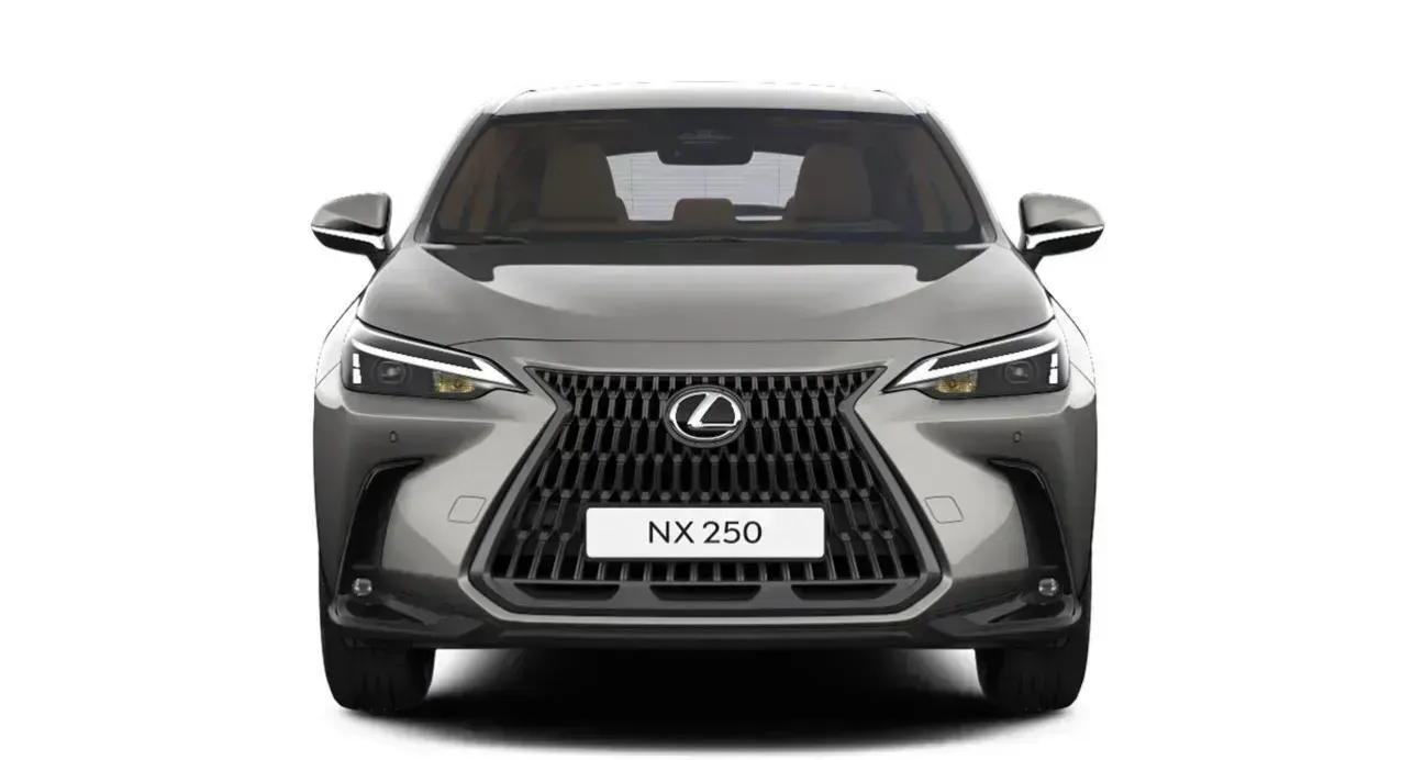 Lexus NX 250 Business 3