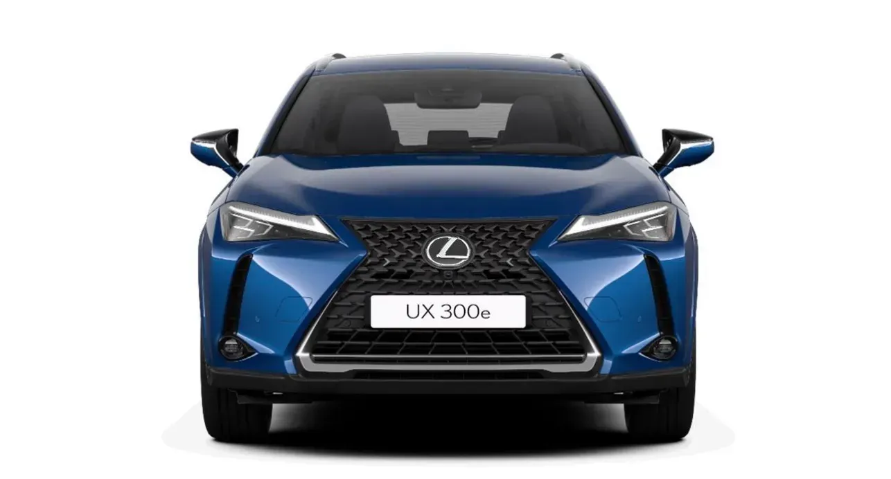 Lexus UX 300e Luxury 3